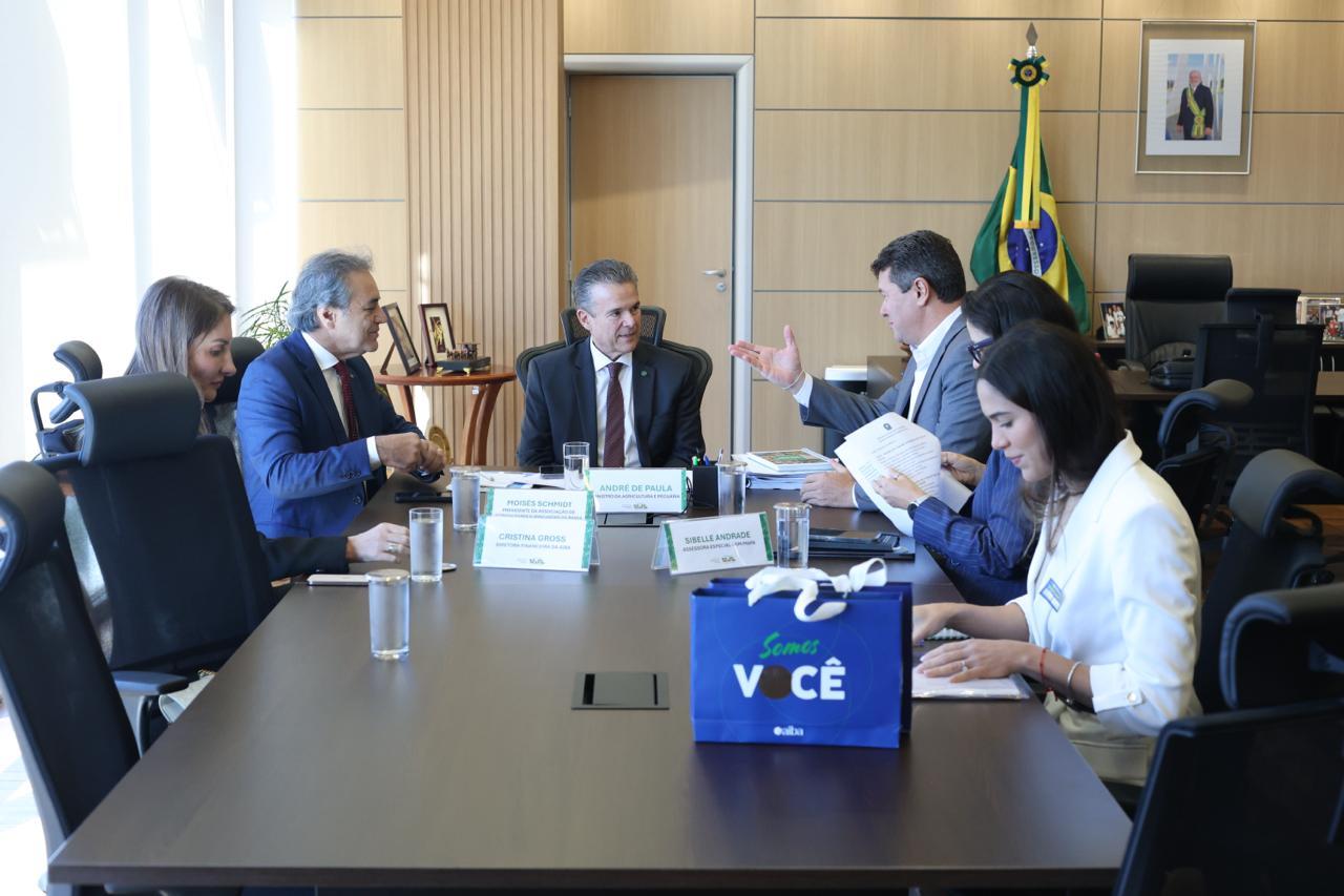 Moisés Schmidt, Cristina Gross, Karen Machado e o ministro André de Paula sentados durante reunião em Brasília