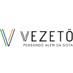 Logo Vezetö Consultoria